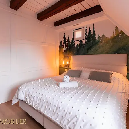 Chez Hansi & Emmy - Holiday home Gueberschwihr