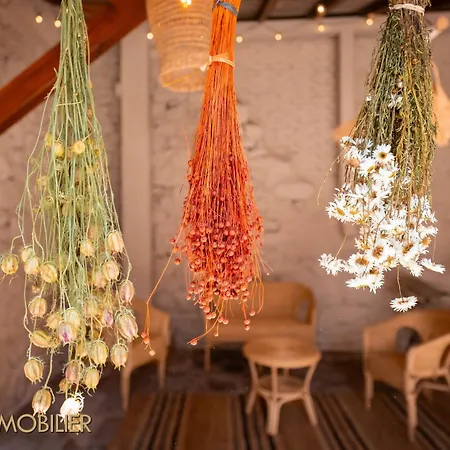 Chez Hansi&emmy - Ferienhaus